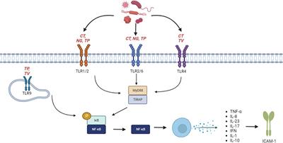 The association of host genes with specific sexually transmitted infections